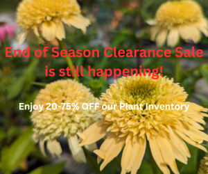 End of Season Clearance Sale